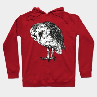 Barn owl pen drawing Hoodie